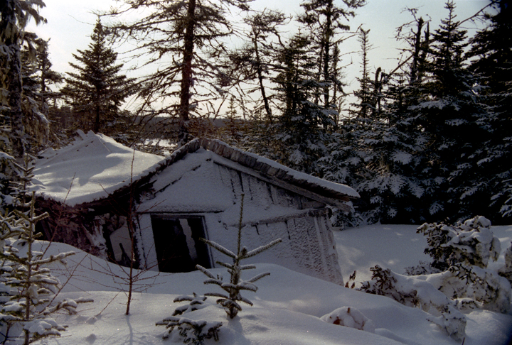 an old cabin in the forest, snow covered and falling down